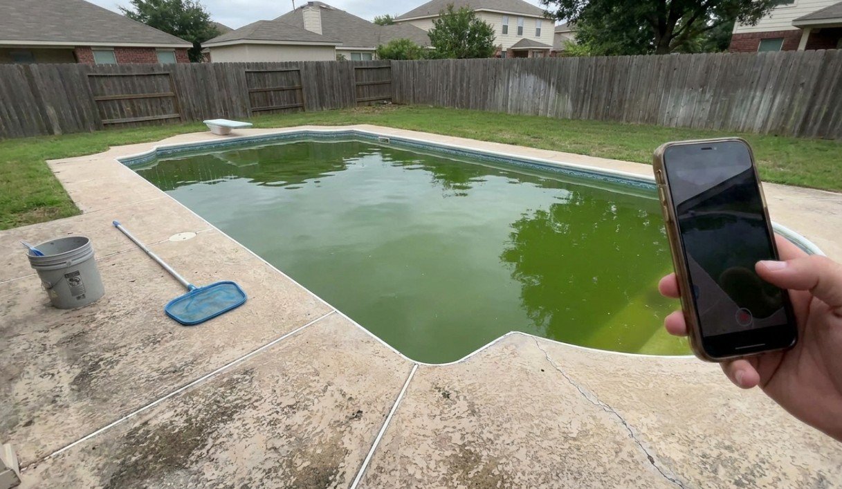 Pool Green